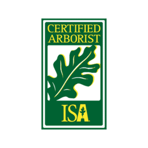 ISA