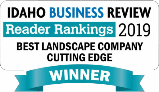 IBR-reader-rankings-2019