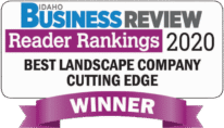 IBR-reader-rankings-2020