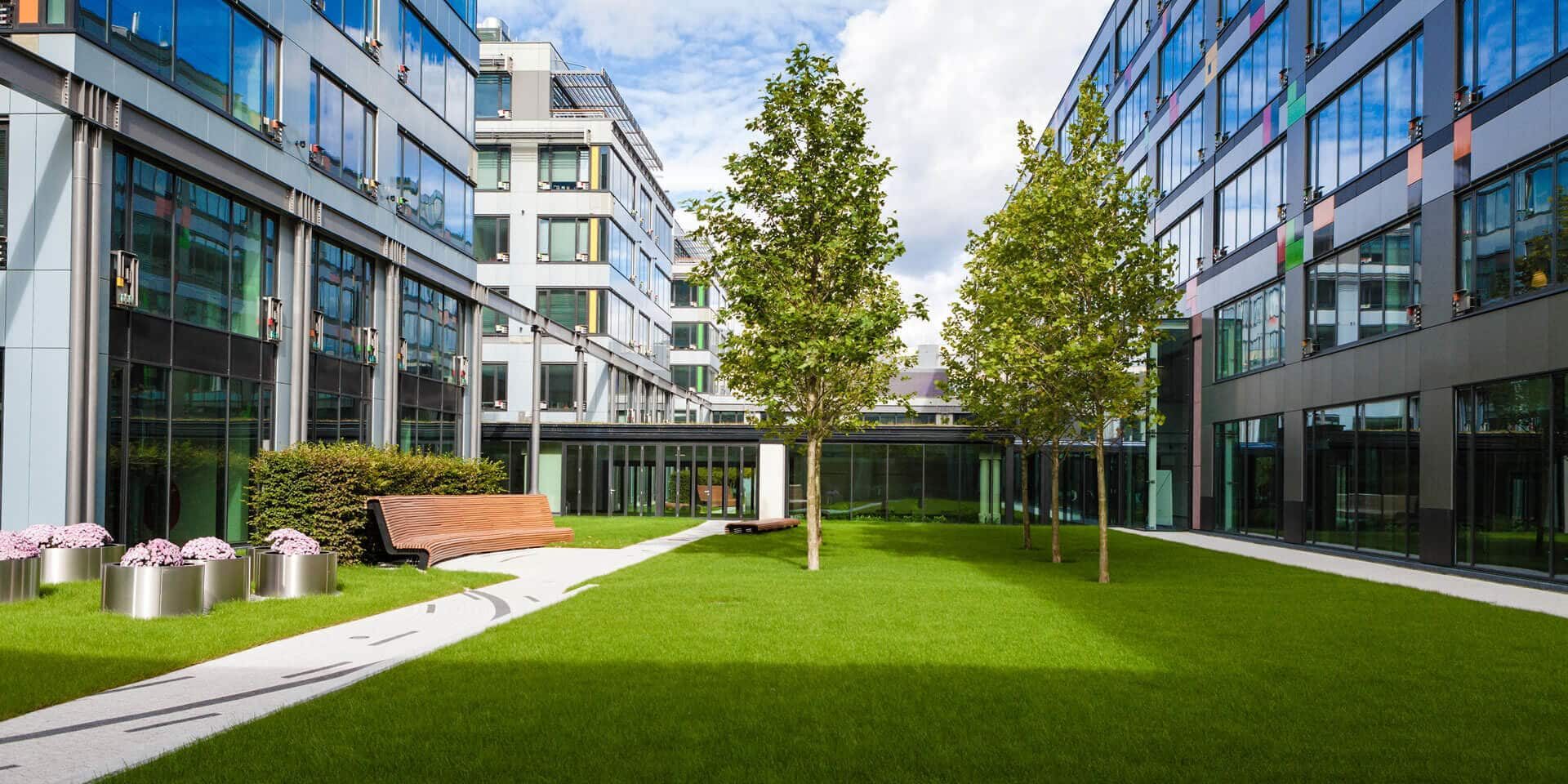 CEL-feature-landscaping-court-yard