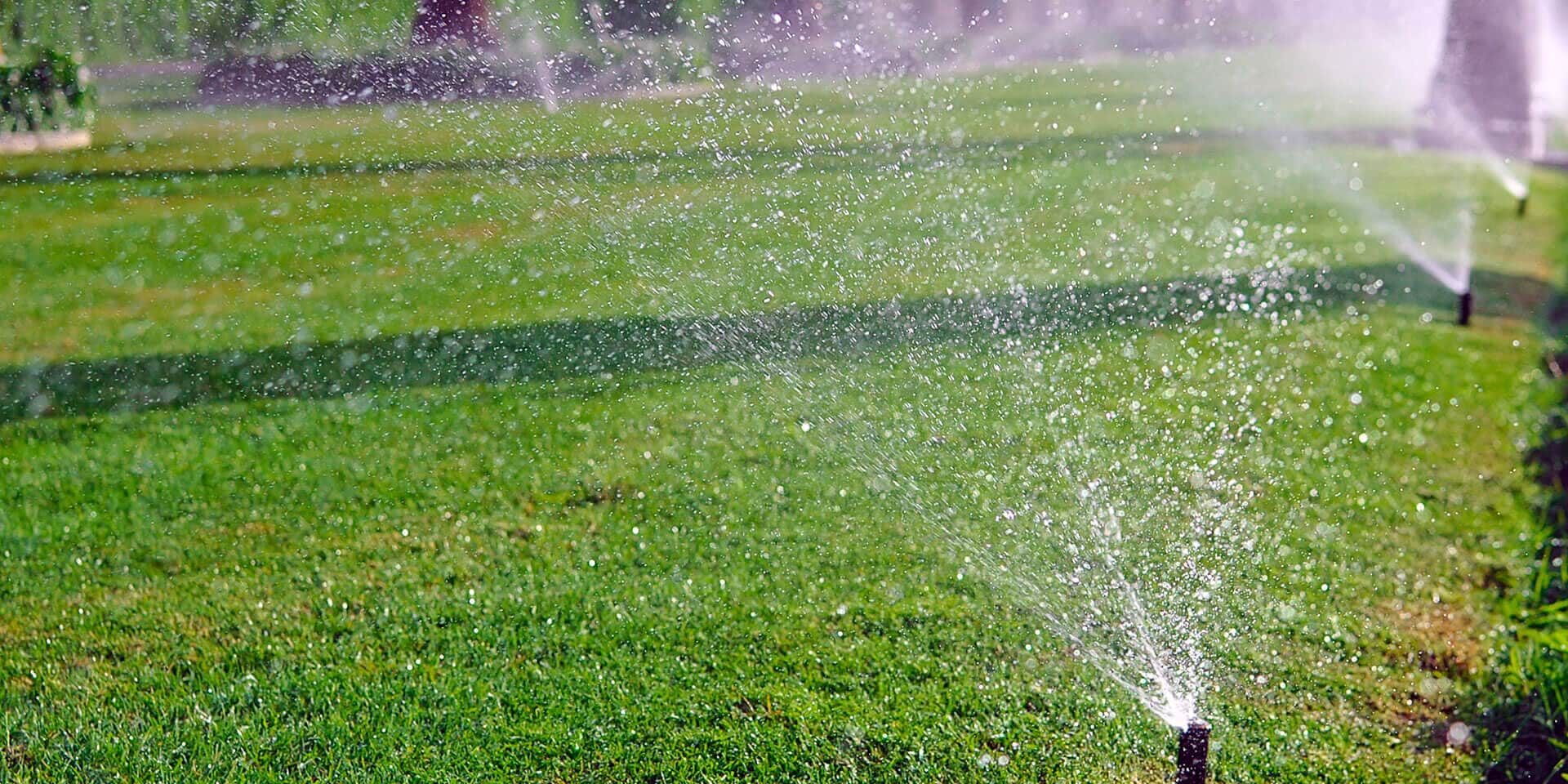 pop-up sprinkler heads watering grass