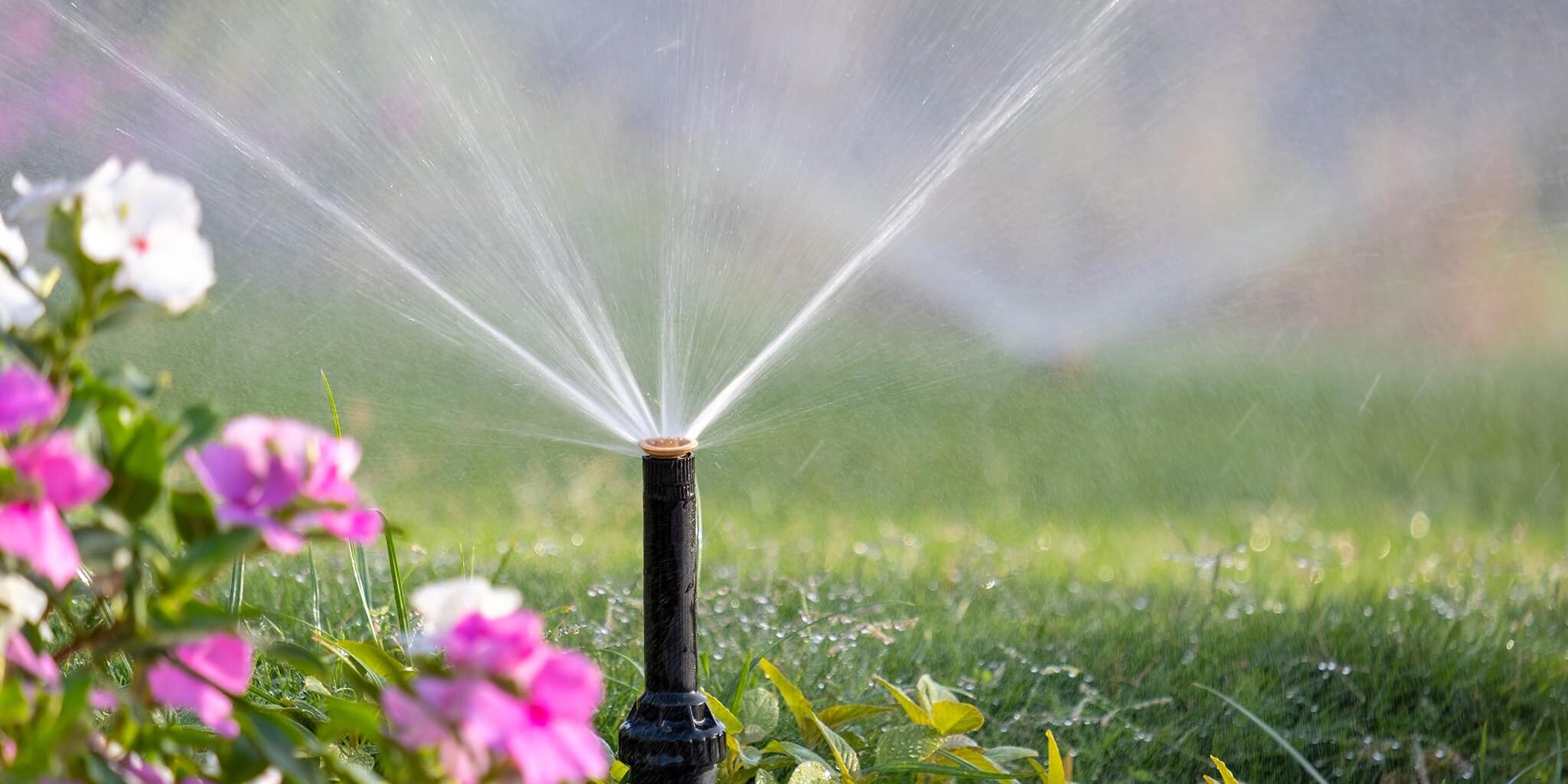 plastic sprinkler irrigating flower bed on grass